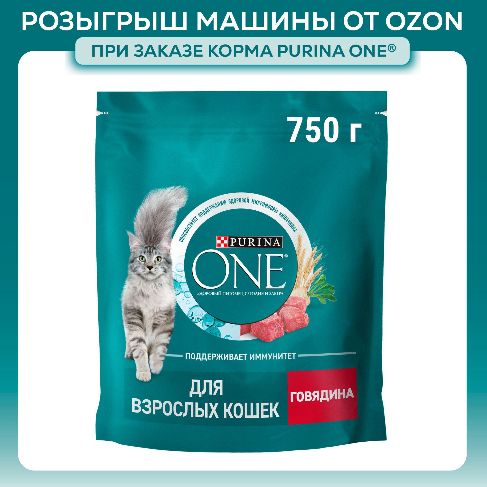 Сухой корм для кошек Purina ONE, с говядиной с цельными злаками, 750 г