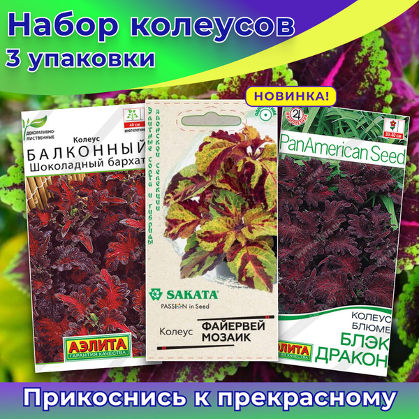 Колеусы Колеус - купить по выгодным ценам в интернет-магазине OZON ...