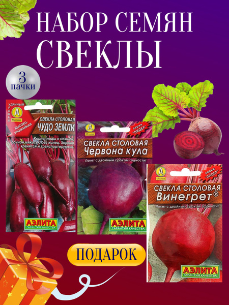 Свекла Агрофирма Аэлита Набор семян свеклы - купить по выгодным ценам в ...