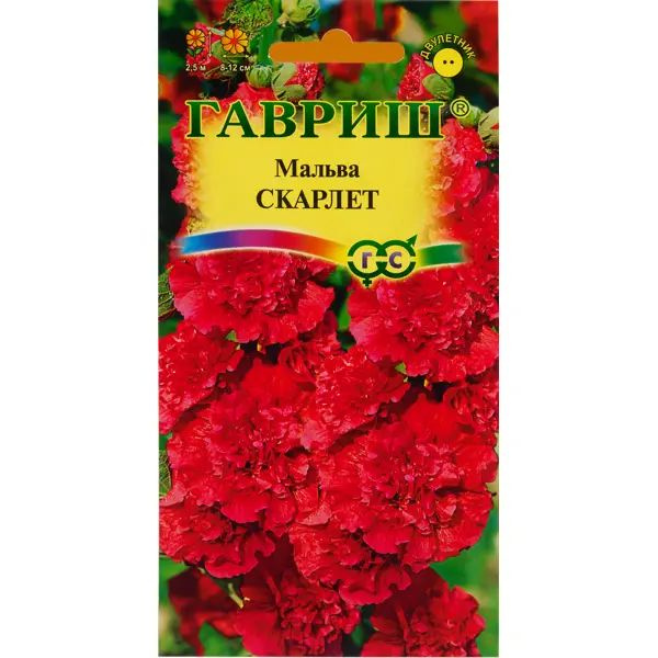 Гавриш цветок как выглядит