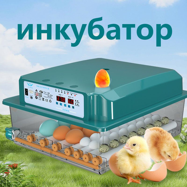 Автоматический инкубатор для яиц с термостатом, гигрометром, зеркалом ...