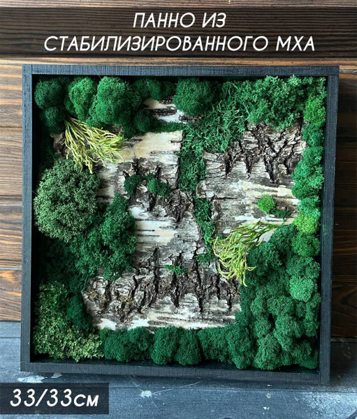 Картина из мха "Березовая кора" 33x33 купить c доставкой на OZON по ...
