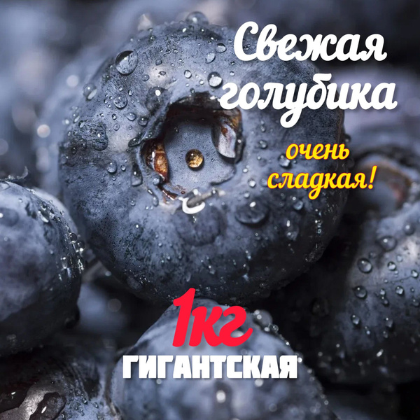 Гигантская и сладкая голубика ЮАР.Размер XXL 1кг - купить с доставкой ...