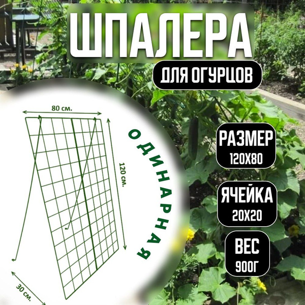 Сетка шпалерная для огурцов 1,2х0,8 м - купить с доставкой по выгодным ...