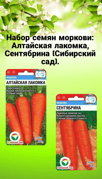 Морковь овощи_алтайская лакомка,сентябрина - купить по выгодным ценам в ...