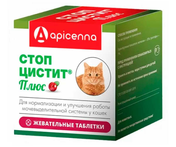 Стопцистит для котов