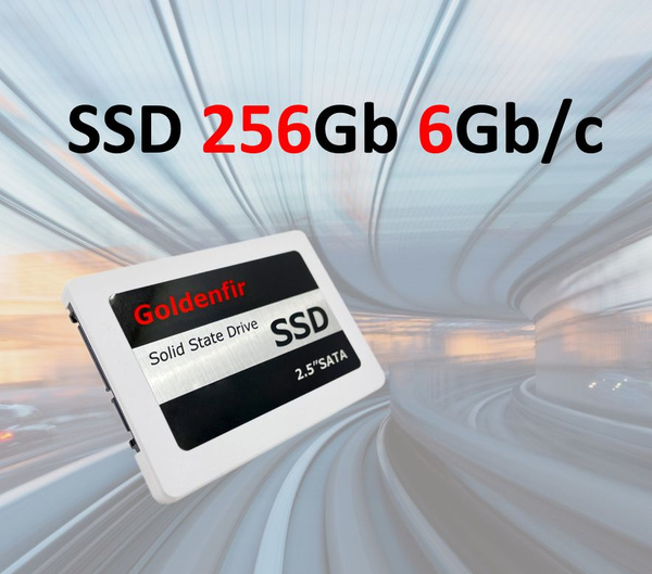 256 ГБ Внутренний SSD-диск Goldenfir SSD накопитель Sata (000005 ...