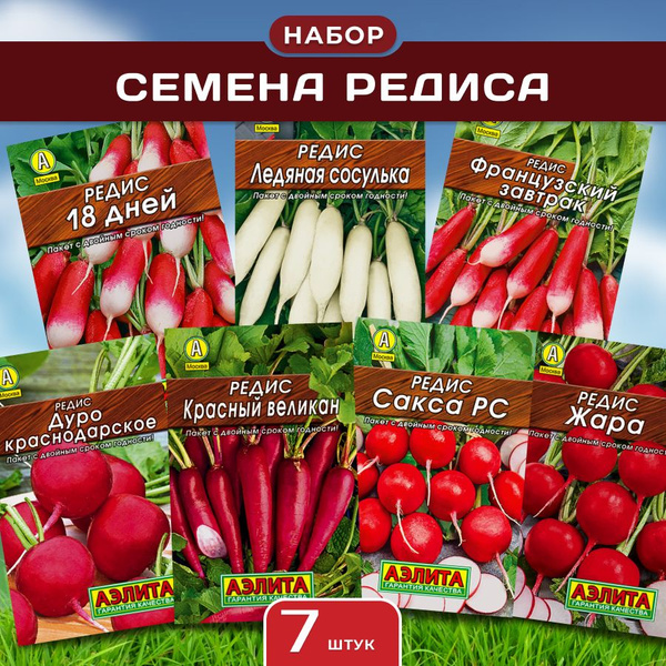 Редис Аэлита кабачки_7_Редис Ледяная сосулька, Дуро краснодарское ...