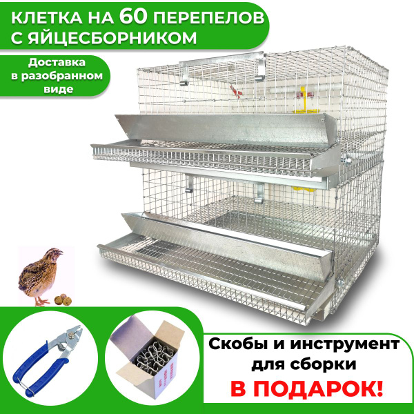 Клетка для перепелов на 60 голов в разобранном виде - купить с ...