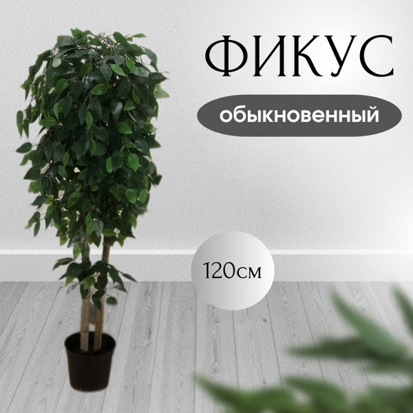 Фикус бенджамина искусственный зелёный высота 120 см - купить с ...