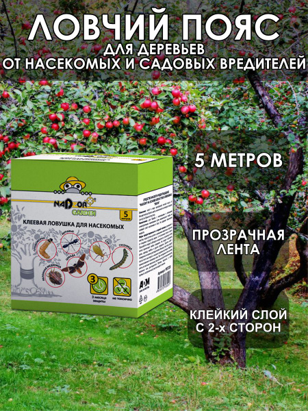 Ловчий пояс от садовых вредителей 5 метров, клеевая ловушка от ...