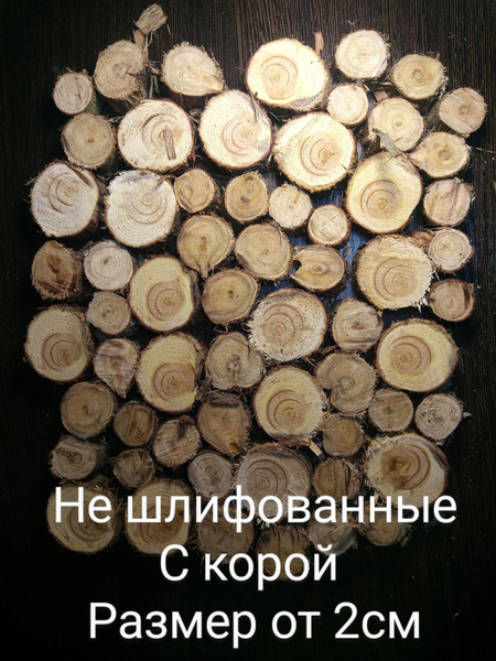 Спилы можжевельника 60 шт - купить с доставкой по выгодным ценам в ...