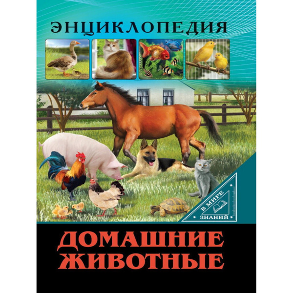 Книжка А4 32стр. "Энциклопедия. В мире знаний. Домашние животные ...