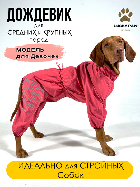 Непромокаемый комбинезон для собак средних и крупных пород (дождевик ...