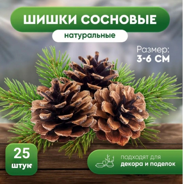 Сосновые шишки для поделок, шишки для декора 25 штук - купить по ...