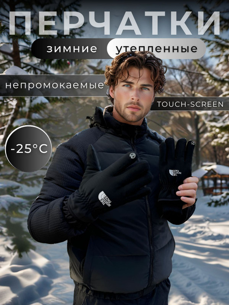 Перчатки The North Face купить на OZON по низкой цене (1735540969)