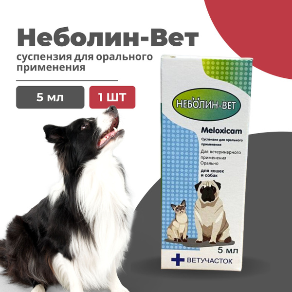 Неболин-Вет, 5 мл купить на OZON по низкой цене (1739751007)