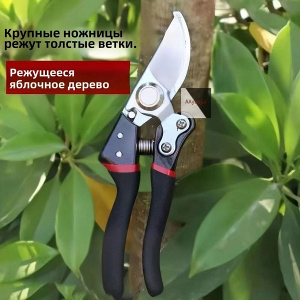 Сучкорез купить на OZON по низкой цене (1741252512)