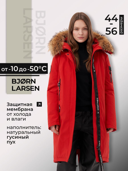Куртка Bjorn Larsen купить на OZON по низкой цене (1751783058)