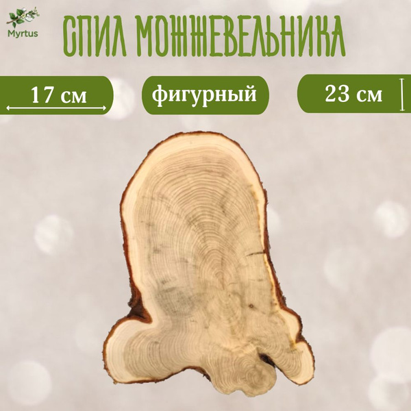 Спил можжевельника купить на OZON по низкой цене (1506531867)