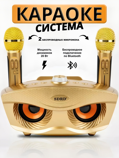 SDRD SD 306 (Золотой) - караоке система с двумя радиомикрофонами ...