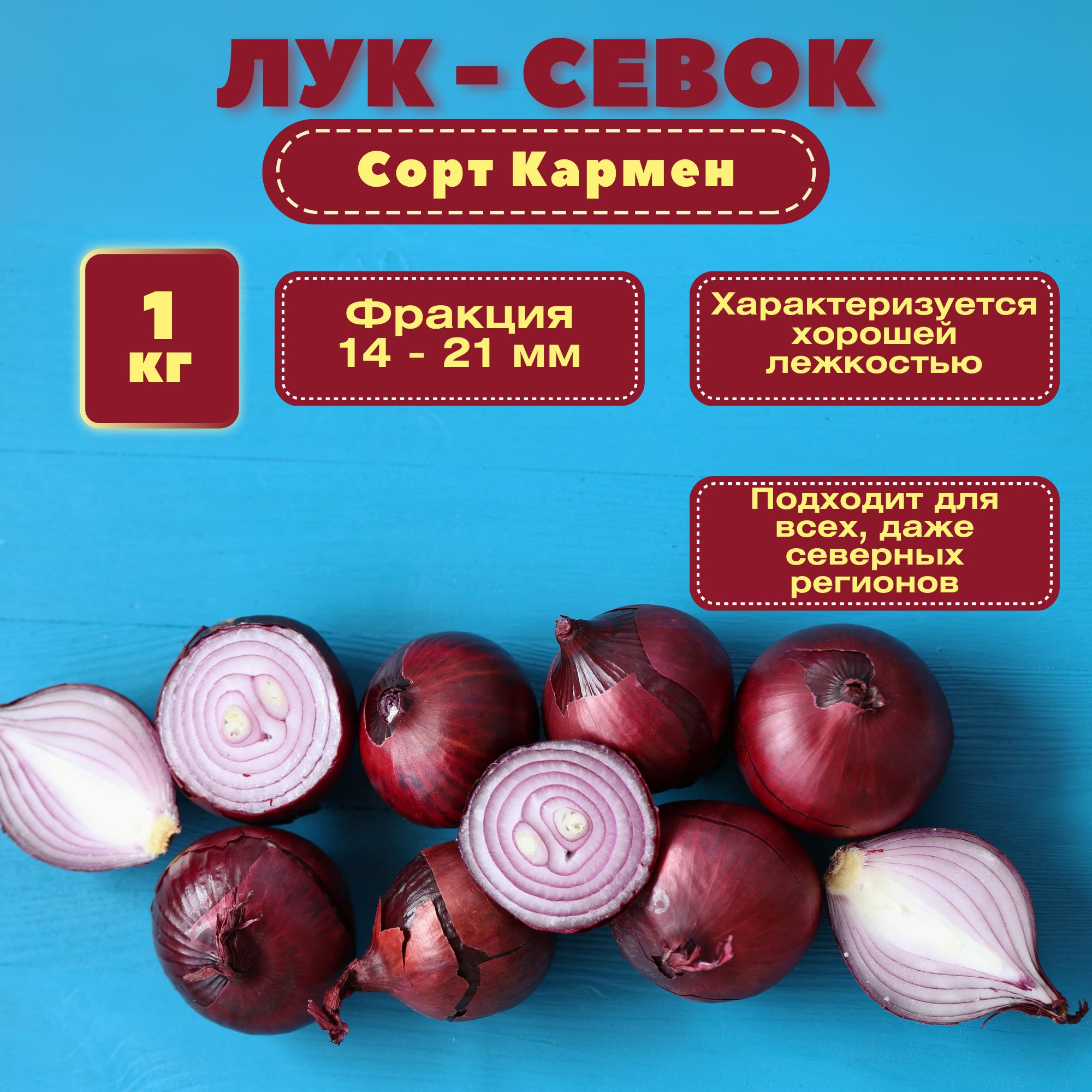 Лук севок красного салатного сорта 