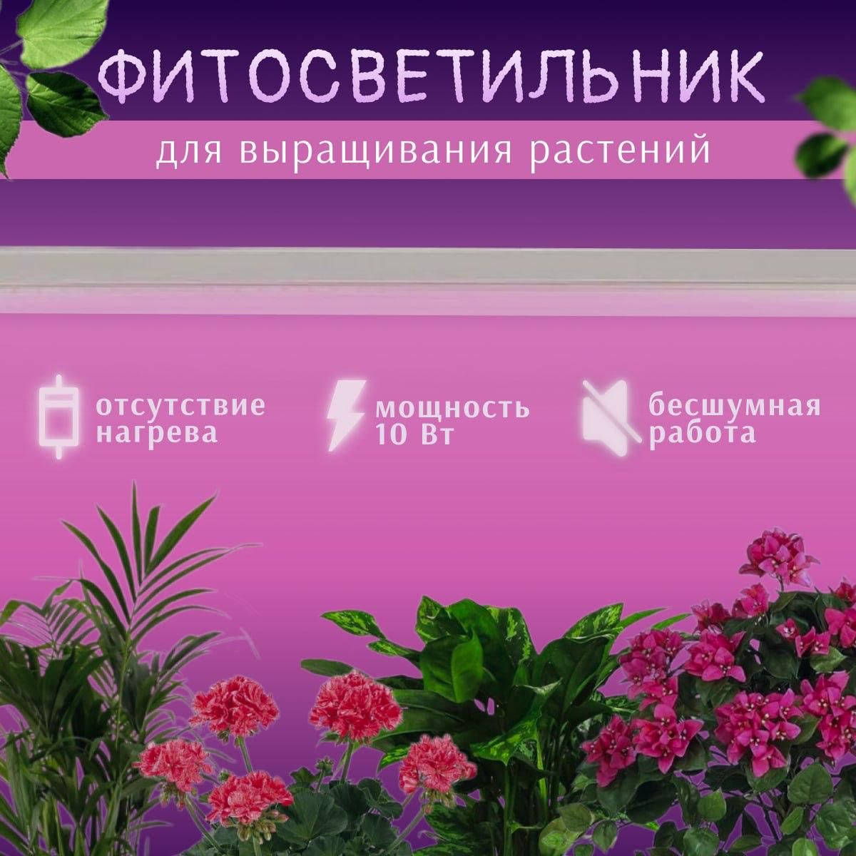 Фитосветильникдлярастений