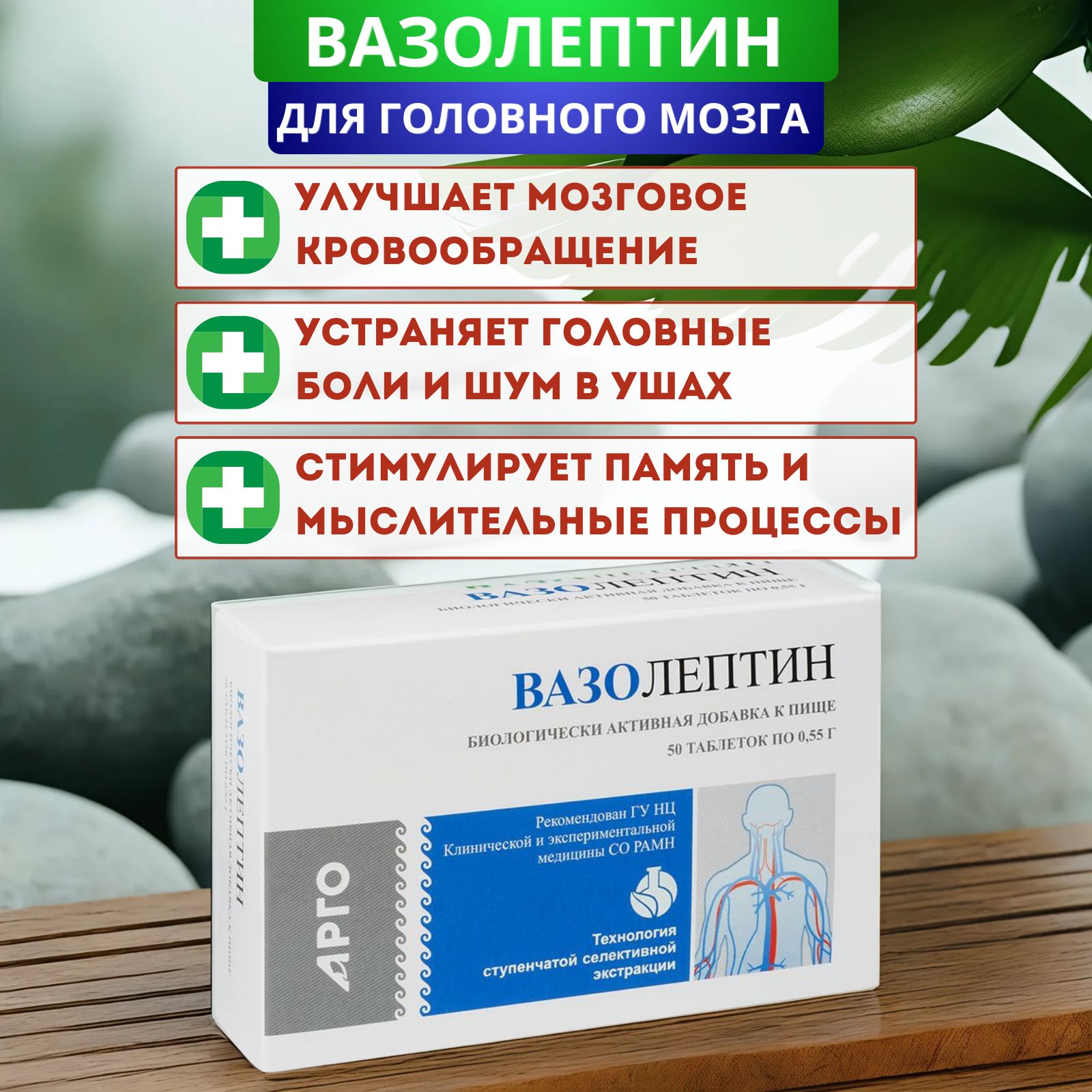 Вазолептин для сосудов головного мозга, таблетки, 50 шт. - купить с  доставкой по выгодным ценам в интернет-магазине OZON (1142543036)