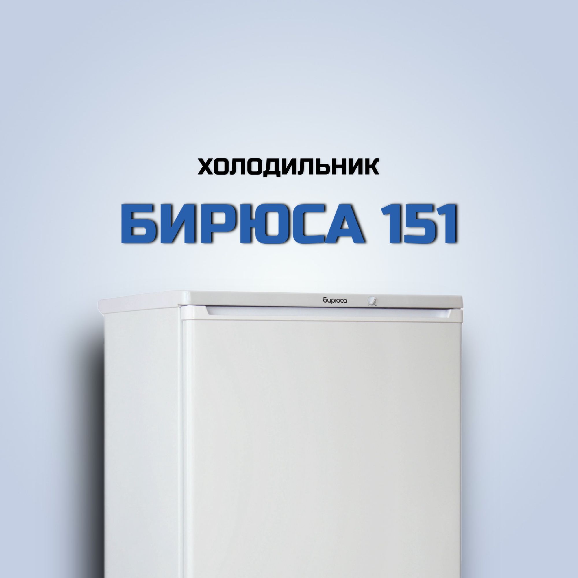 ХолодильникБирюсаБ-151(Цвет:White)