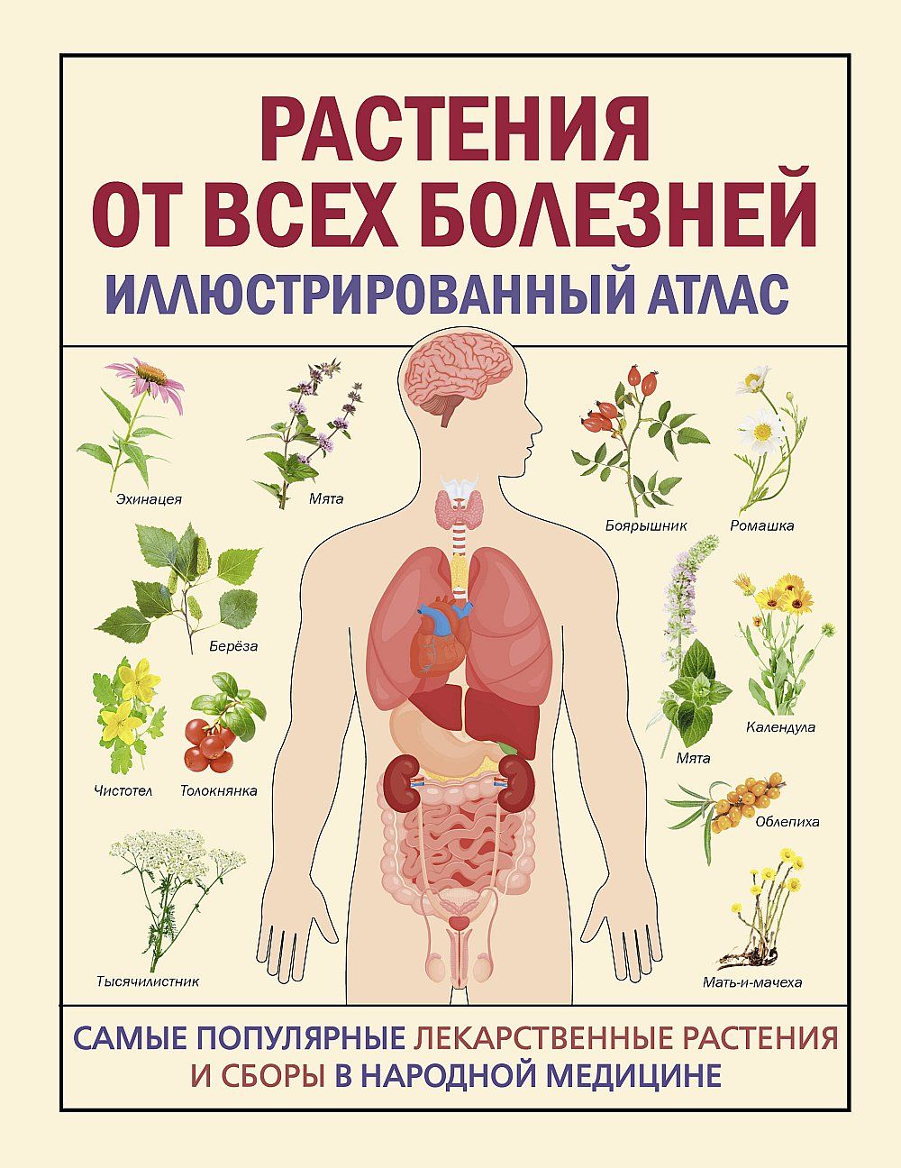 Сборник Лекарственных Растений – купить в интернет-магазине OZON по низкой  цене