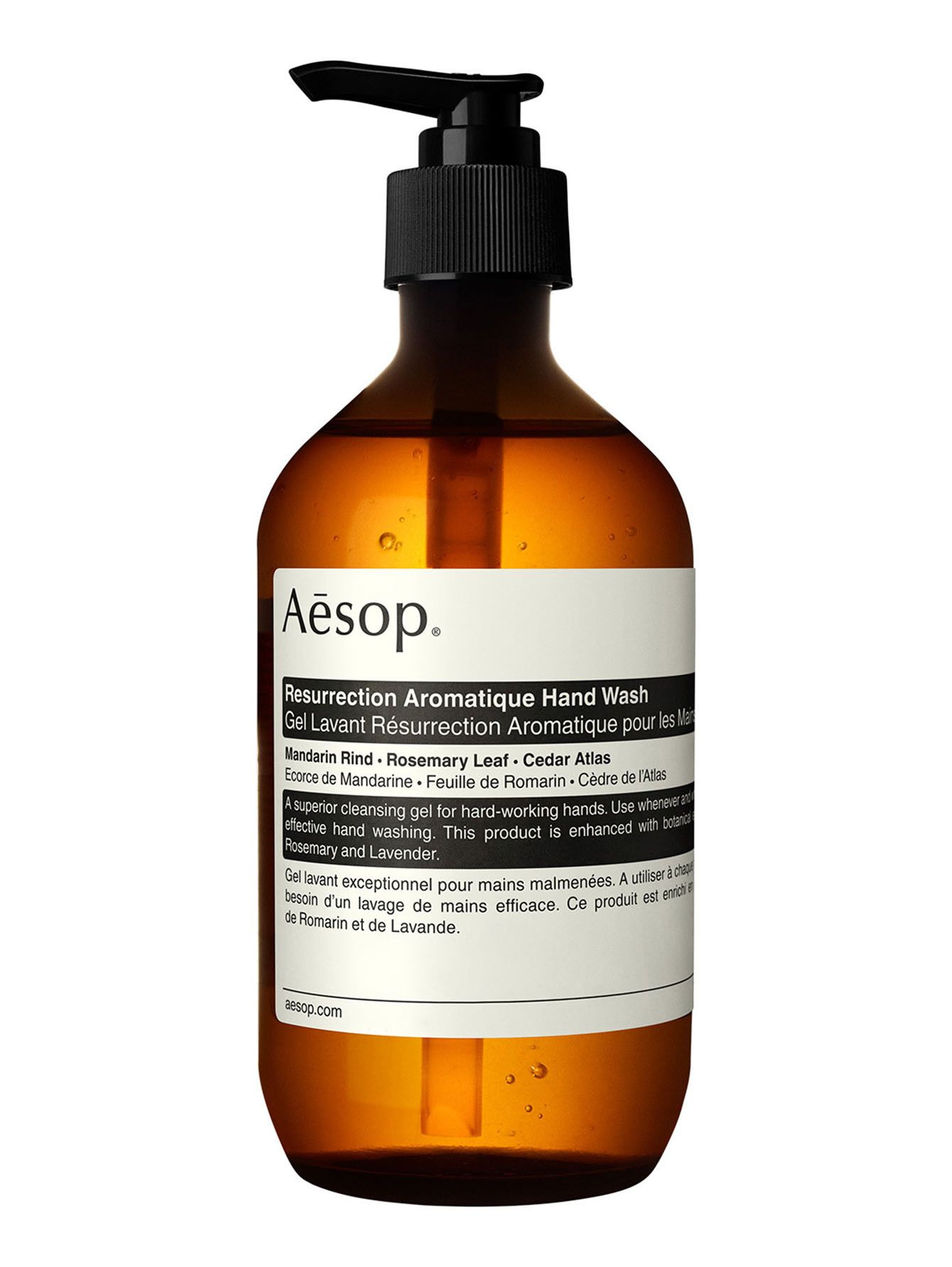 Aesop