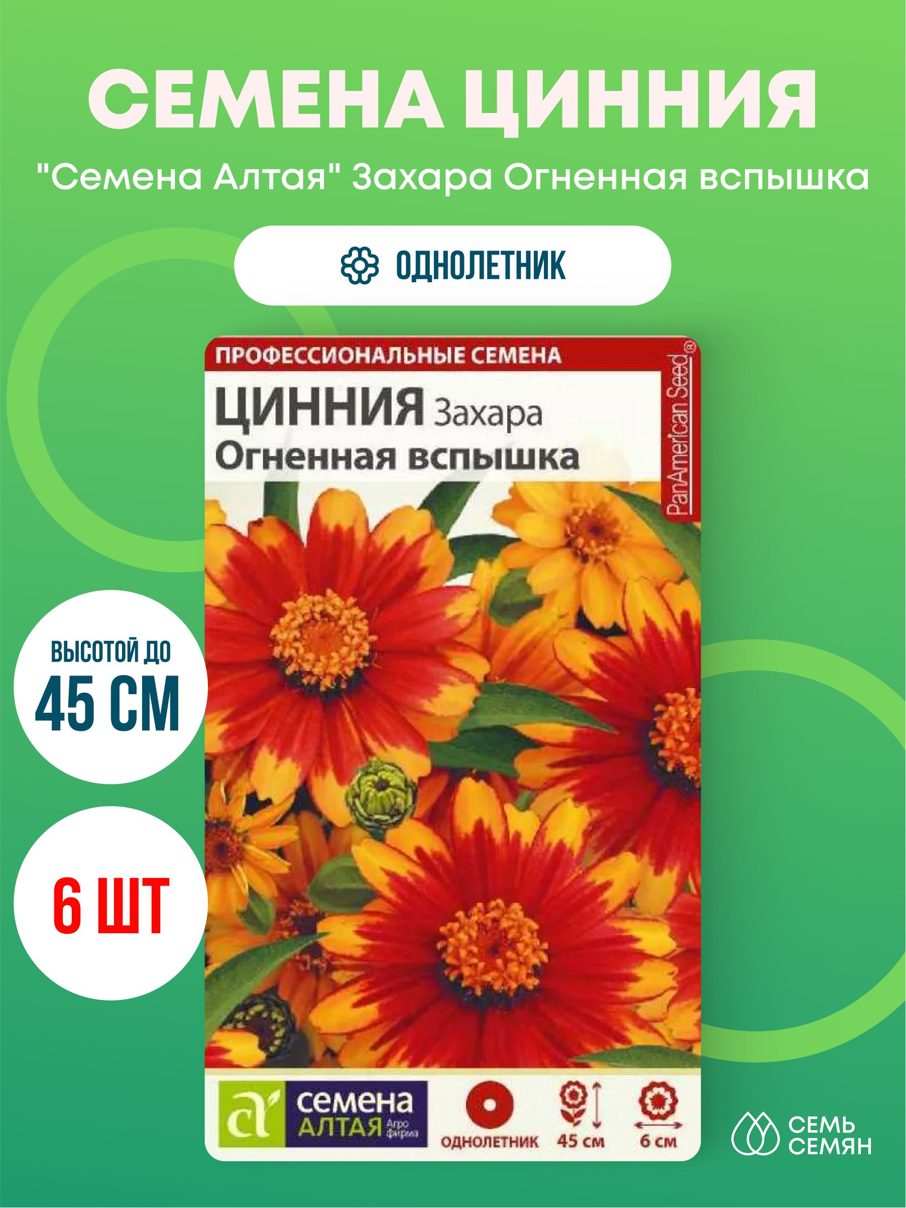 Цинния захара огненная вспышка