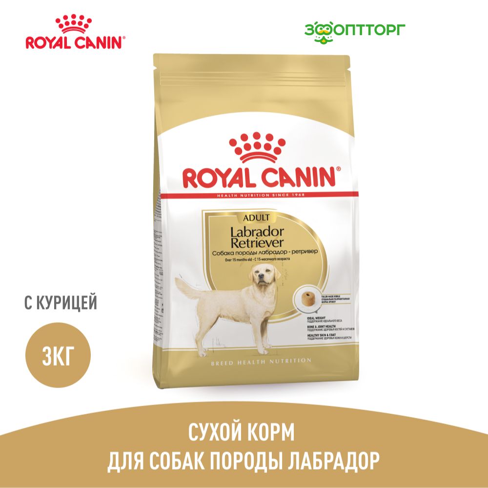 Royal canin для собак x small. Роял канин x small для собак мелких пород. медиум эдалт 15 кг роял канин. роял канин для собак мини эдалт. роял канин профессионал x small adult.