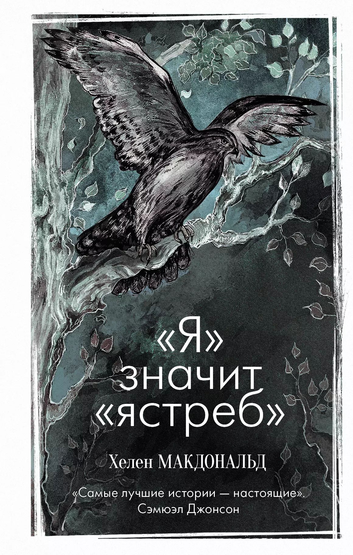 Что значит ястреб. Что значит ястреб
