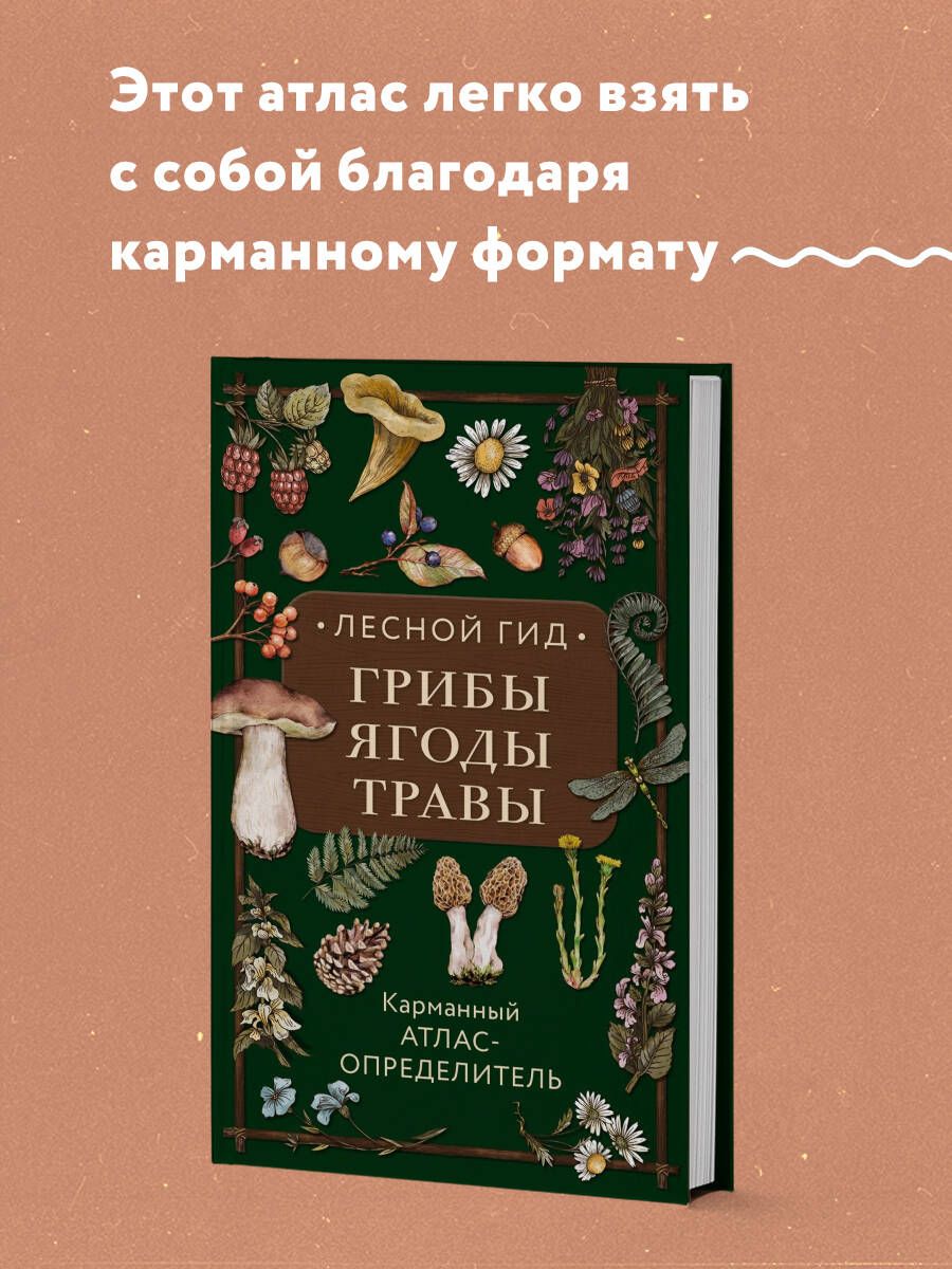 Лесной гид: грибы, ягоды, травы. Карманный атлас-определитель | Семенова  Людмила Семеновна