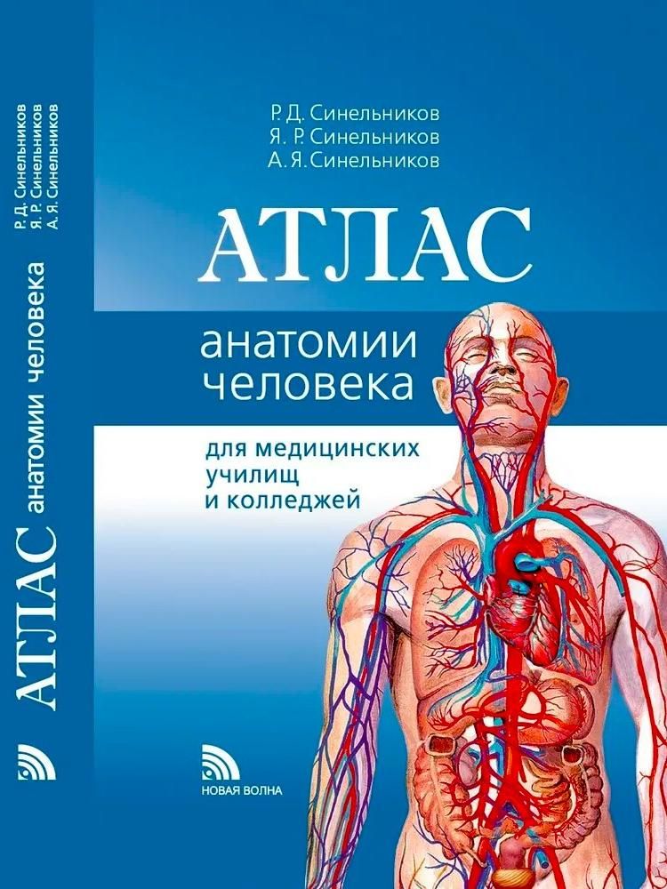 Атлас анатомии воробьева. Атлас анатомии воробьева