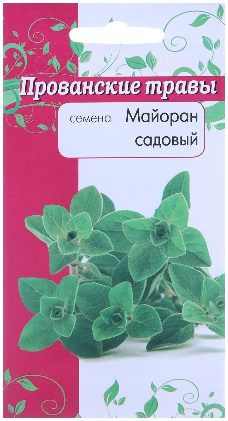 Шалфей Семенами Цена