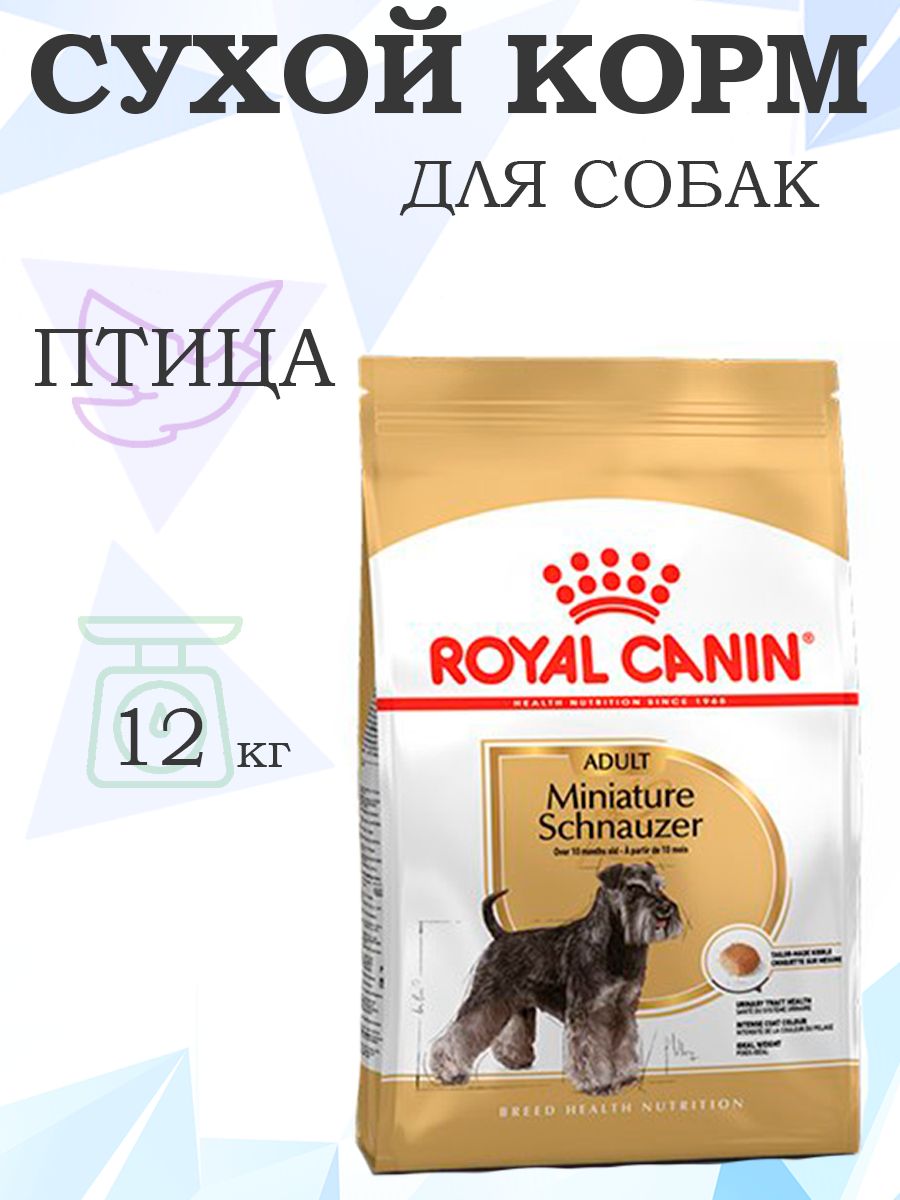 Royal Canin Breed dog Miniature Schnauzer Adult / Сухой корм Роял Канин для взрослых собак породы Миниатюрный Шнауцер старше 10 месяцев, 3 кг