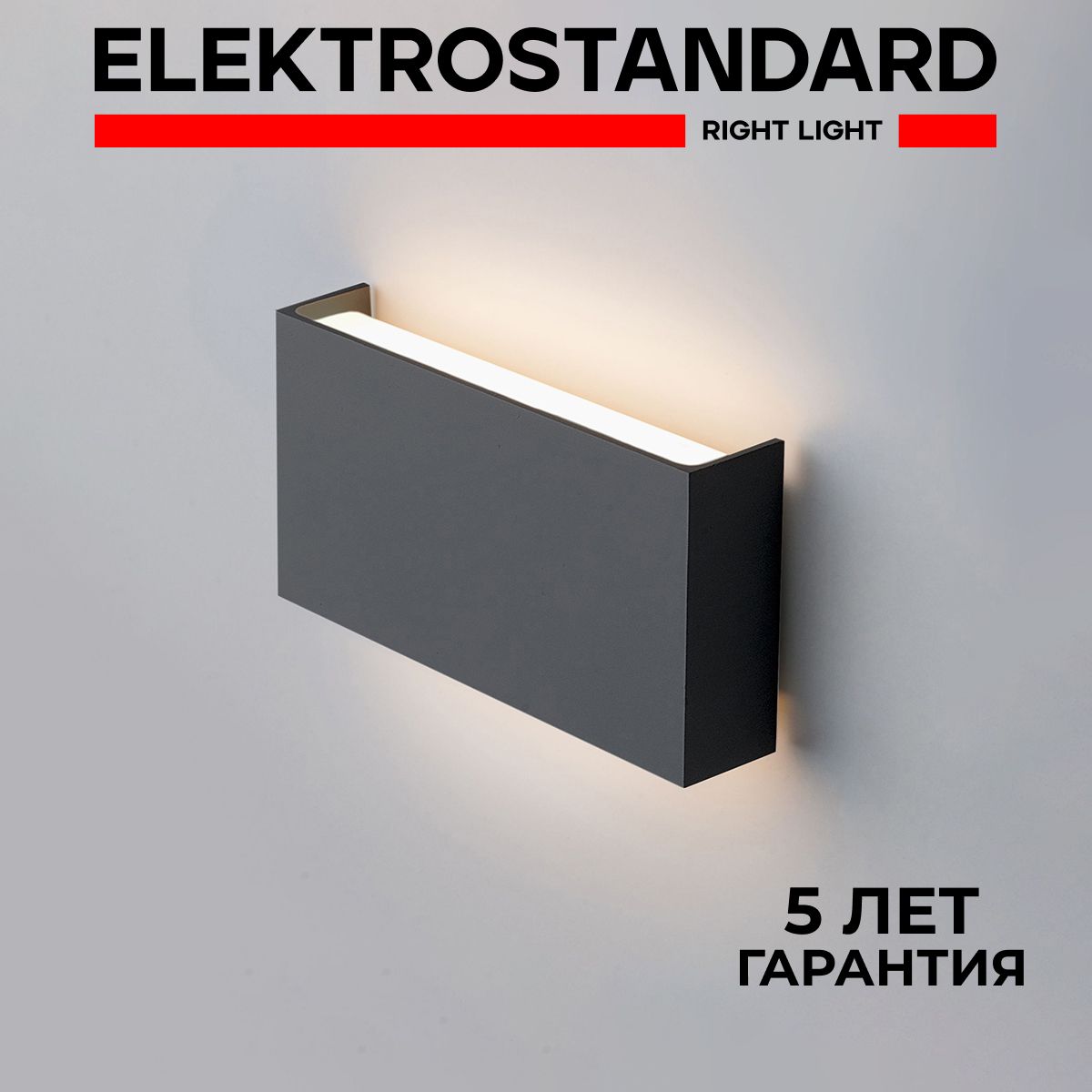 УличныйсветодиодныйсветильниквсовременномстилеElektrostandard1705TECHNOLEDGOLFIP54графит