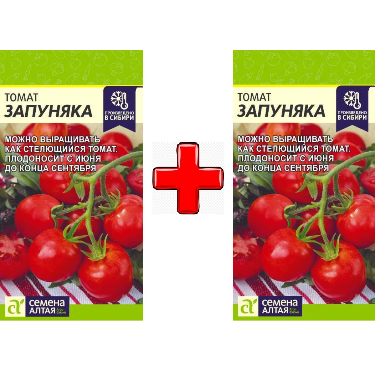 Семена Зяпуняка Помидор Купить