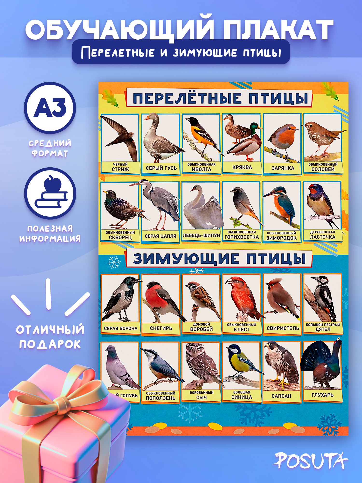 Перелетные птицы удмуртии