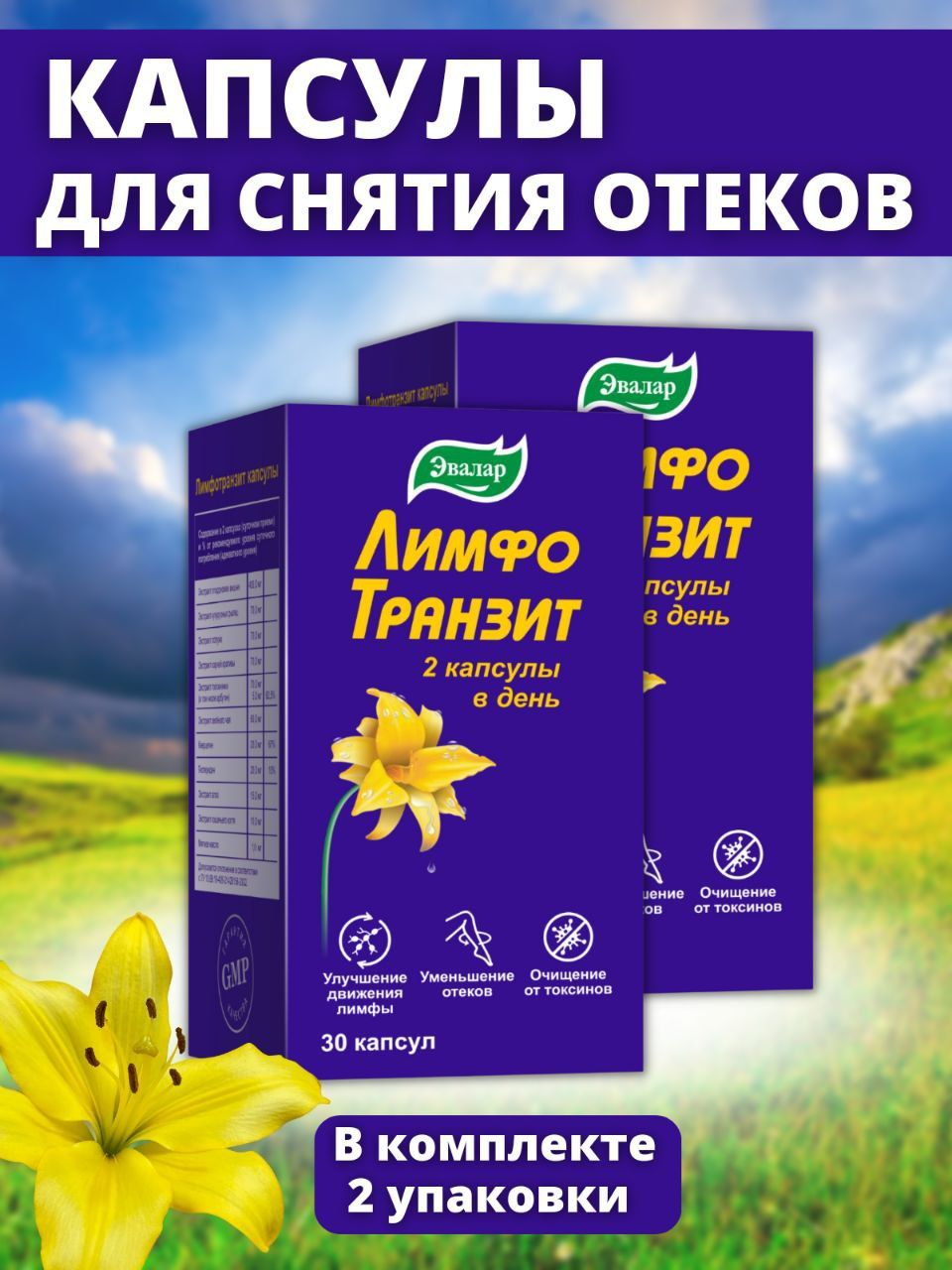 Лимфотранзит Купить В Челябинске В Аптеке