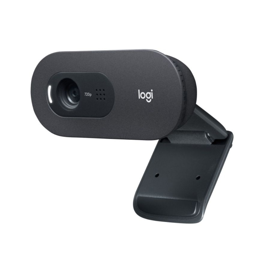 Веб-камера Logitech C505e HD Webcam