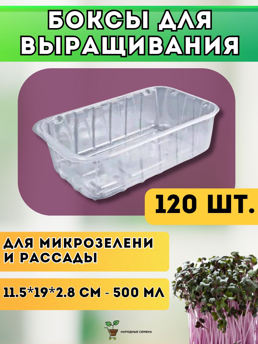 Лотки для выращивания микрозелени