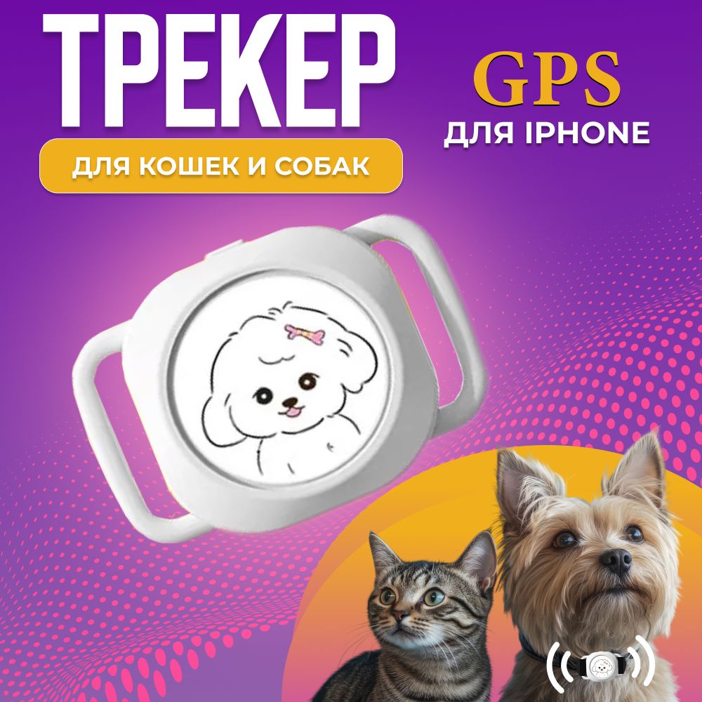 GPS трекер для собак и кошек с ошейником