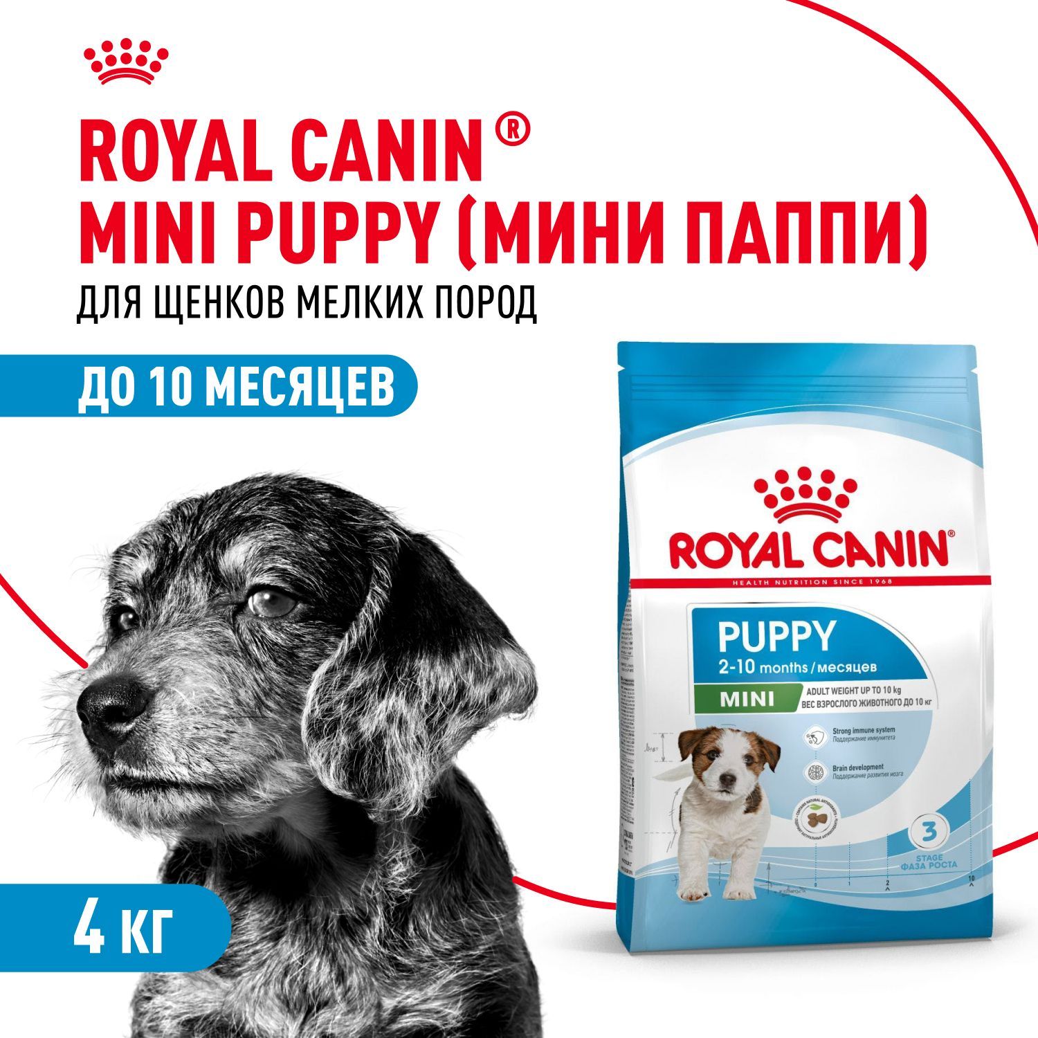 Корм для щенков сухой Royal Canin Mini Puppy для мелких пород, с птицей, 4 кг