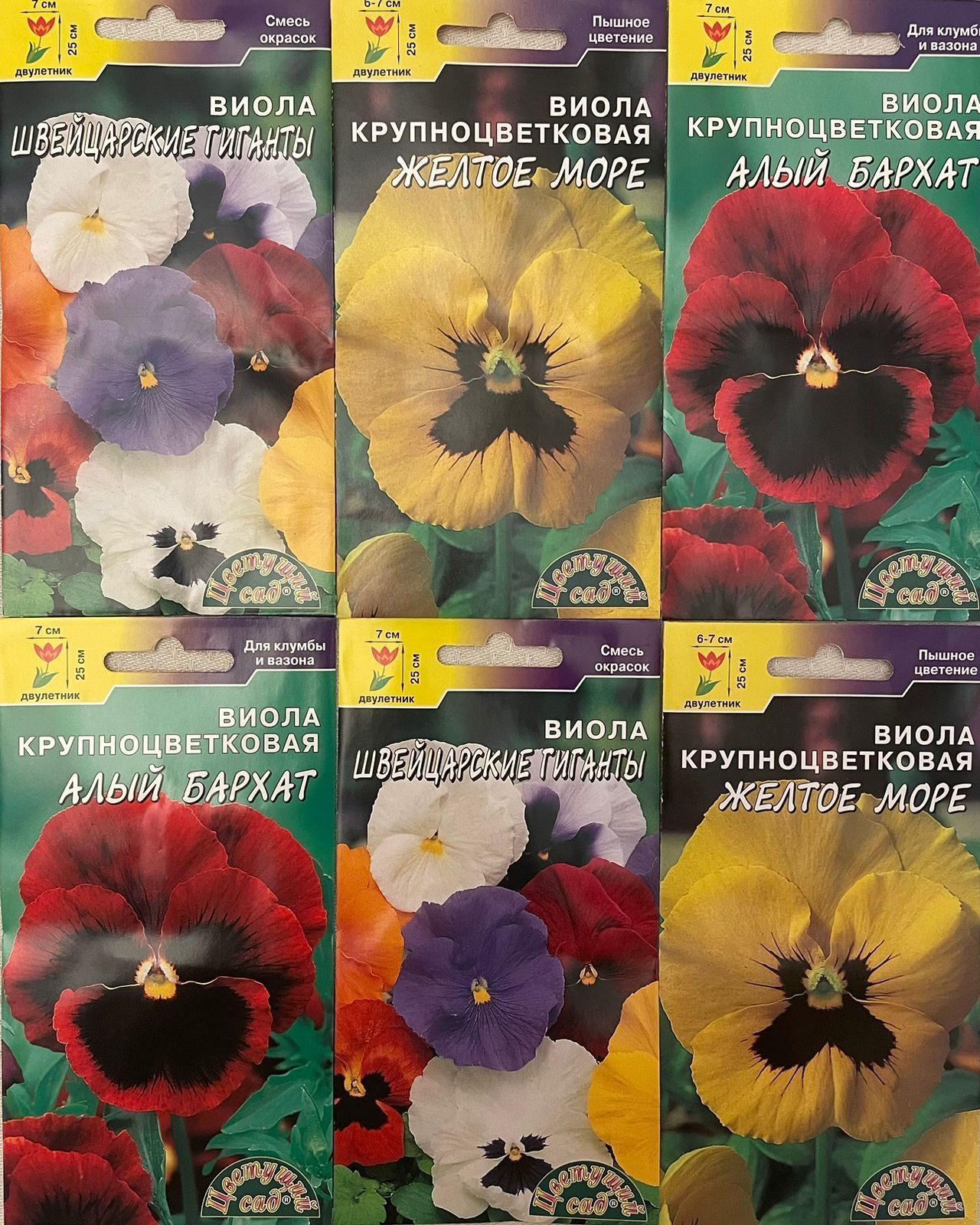 Семена Виолы Купить В Интернет Магазине