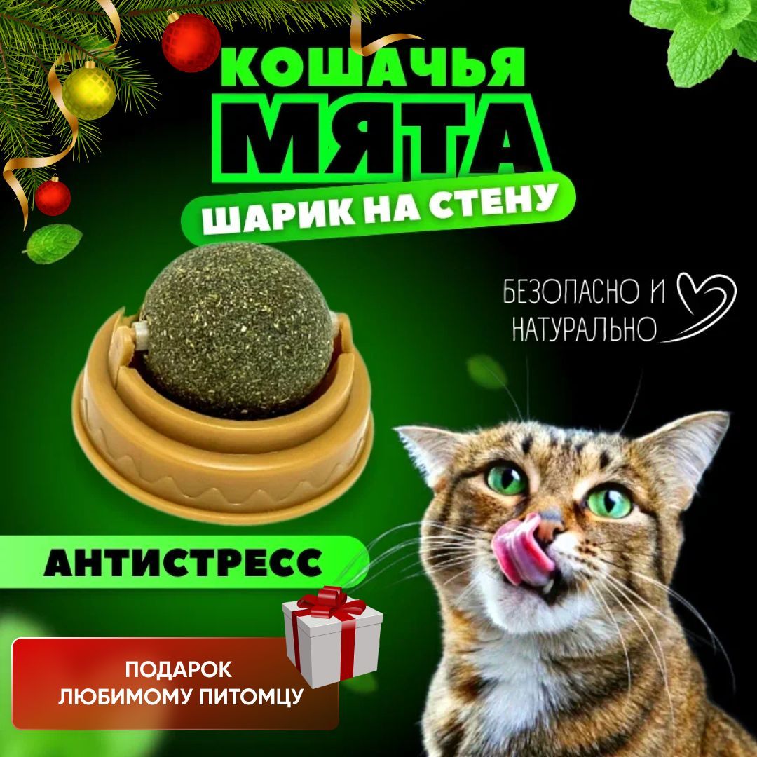 Кошачьямяташарикигрушкидлякошек