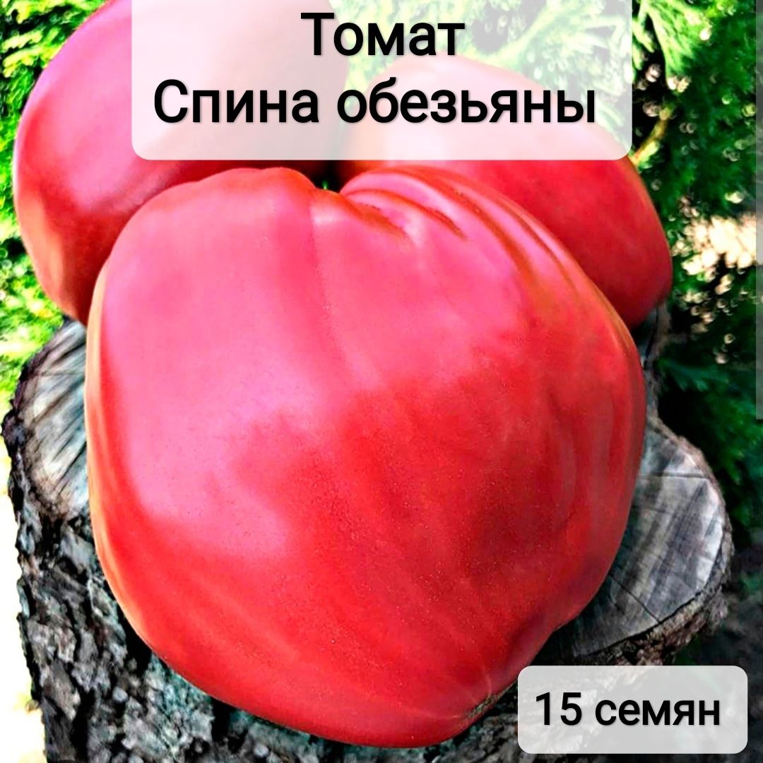 ТоматСпинаобезьяны(названиеусловное)(15семян)+рекомендации+наклейка