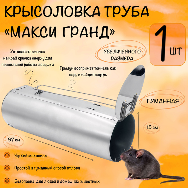 Крысоловка Клетка Гроза МГ, мышеловка гуманная в Москве – цены, характеристики, отзывы